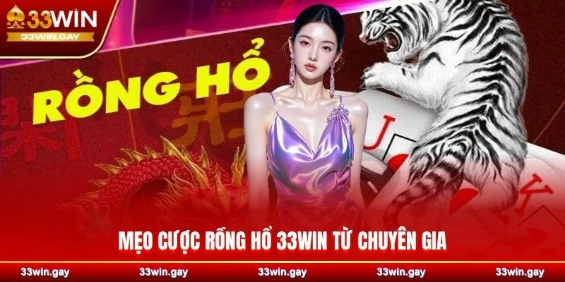 Mẹo cược Rồng Hổ 33WIN từ chuyên gia