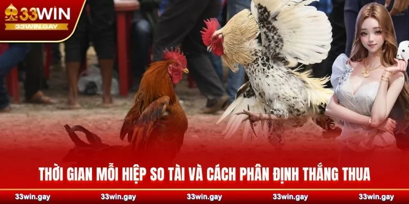 Đá gà cựa sắt 33WIN - Sàn đấu máu lửa của những chiến kê số 1 3 Thời gian mỗi hiệp so tài và cách phân định thắng thua